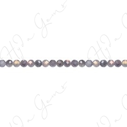 Labradorite Faceted Beads (A)