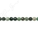 Moss Agate Faceted Beads