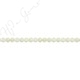 MOP (White) Faceted Beads