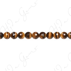 Tiger Eye Faceted Beads (A)