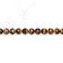 Tiger Eye Faceted Beads (A)