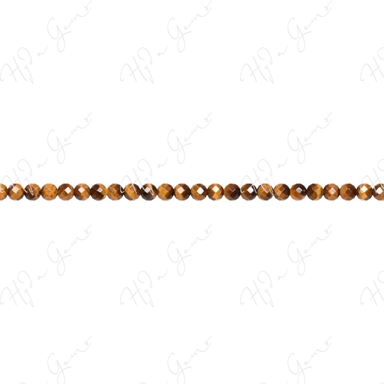 Tiger Eye Faceted Beads (A)