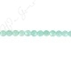 Amazonite Faceted Coin Beads