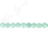 Amazonite Faceted Coin Beads