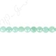 Amazonite Faceted Coin Beads