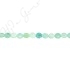 Amazonite Multi-Color Faceted Coin Beads