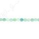 Amazonite Multi-Color Faceted Coin Beads