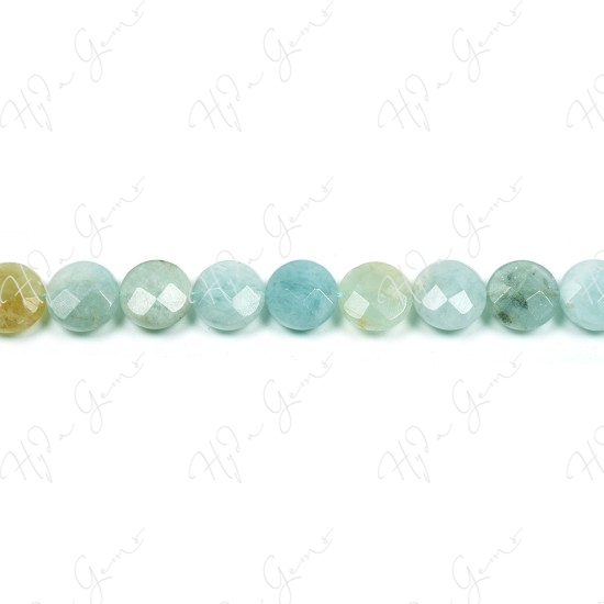 Aquamarine Multi-Color Faceted Coin Beads