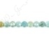 Aquamarine Multi-Color Faceted Coin Beads