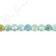 Aquamarine Multi-Color Faceted Coin Beads