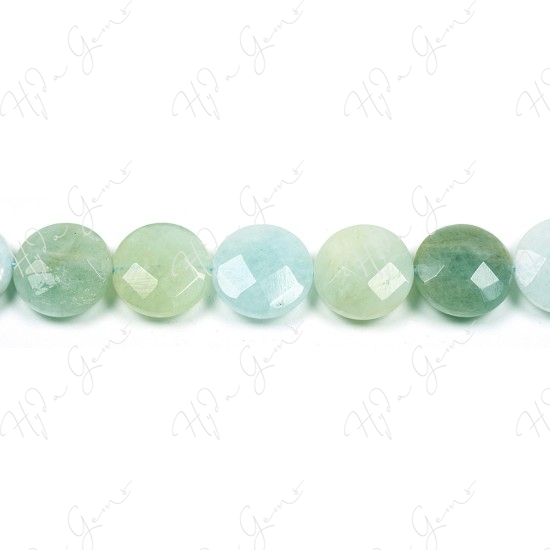 Aquamarine Multi-Color Faceted Coin Beads