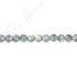 Labradorite Faceted Coin Beads