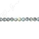 Labradorite Faceted Coin Beads