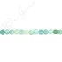 Amazonite Multi-Color Coin Beads