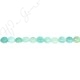 Amazonite Multi-Color Coin Beads