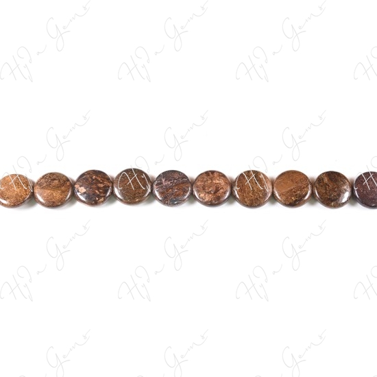 Bronzite Coin Beads