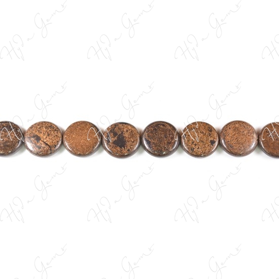 Bronzite Coin Beads