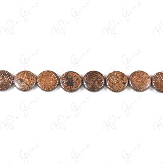 Bronzite Coin Beads