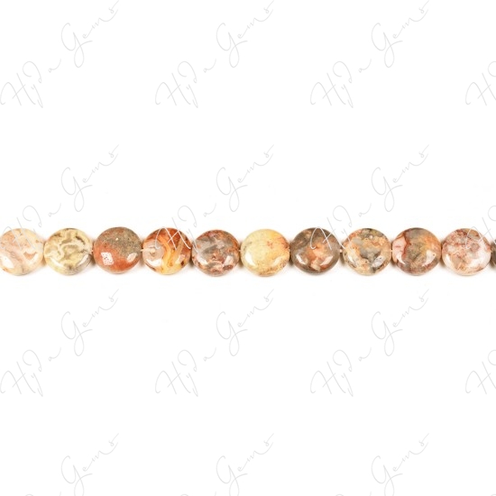 Crazy Agate Coin Beads