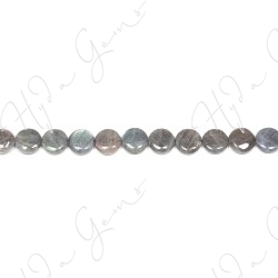 Labradorite Coin Beads