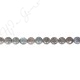 Labradorite Coin Beads