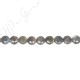 Labradorite Coin Beads