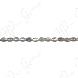 Labradorite Flat Oval Beads