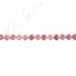 Red Rhodnite Flat Square Beads